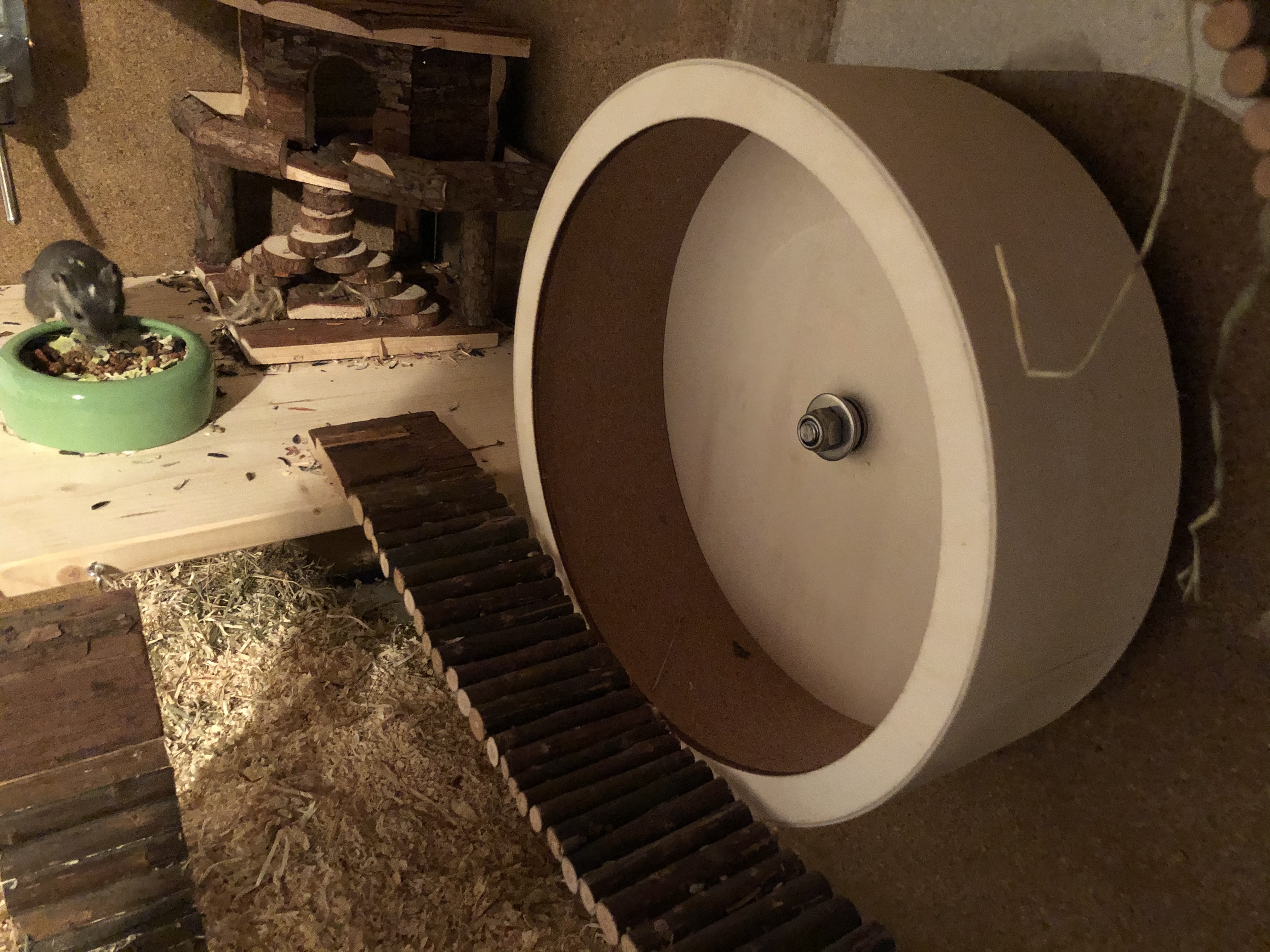 Hamster glücklich