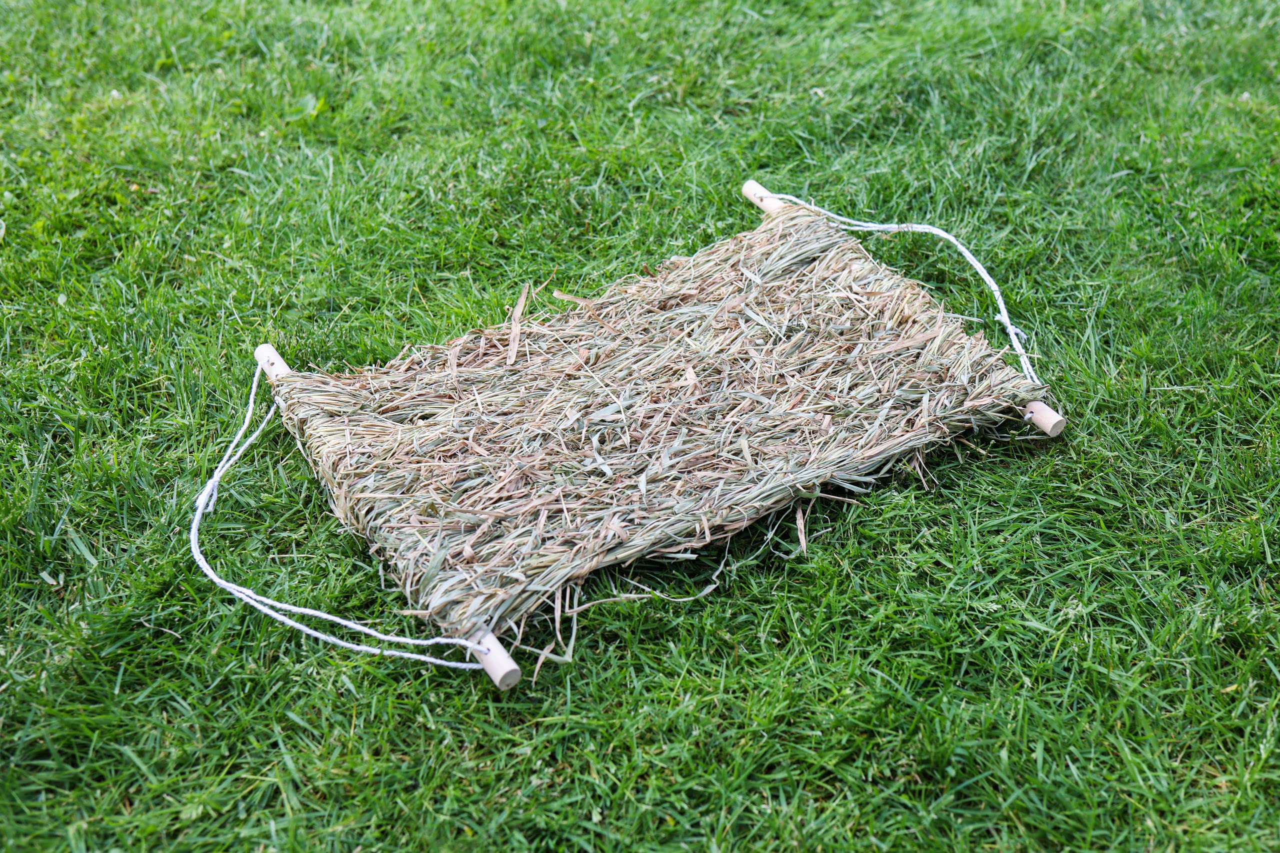 kerbl-pet-ersatz-grasmatte-46-x-36-x-3-5-cm-f-r-h-ngematte-siesta-82796 image 2
