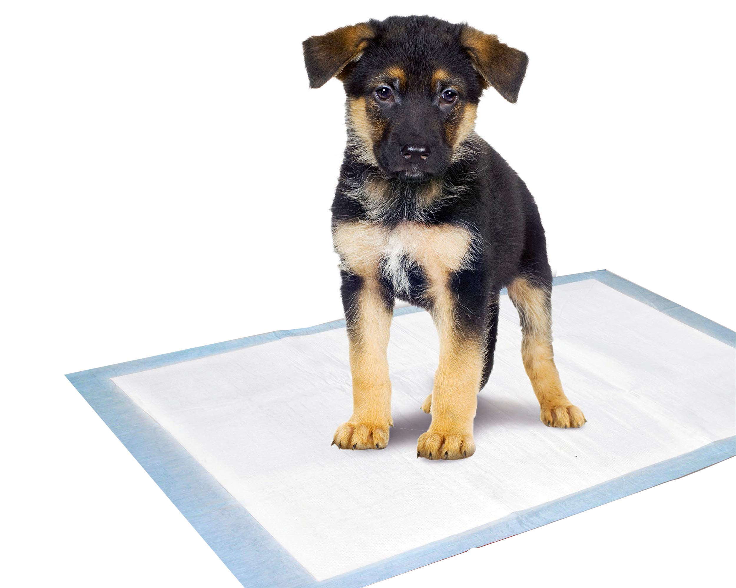 karlie-puppy-pads-trainingsmatte-35-x-45-cm-10-st-ck image 7