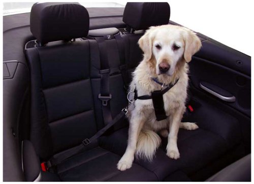 kerbl-83255-autosicherheitsgurt-gr-e-l-f-r-hunde-schwarz-gr-enverstellbar image 3