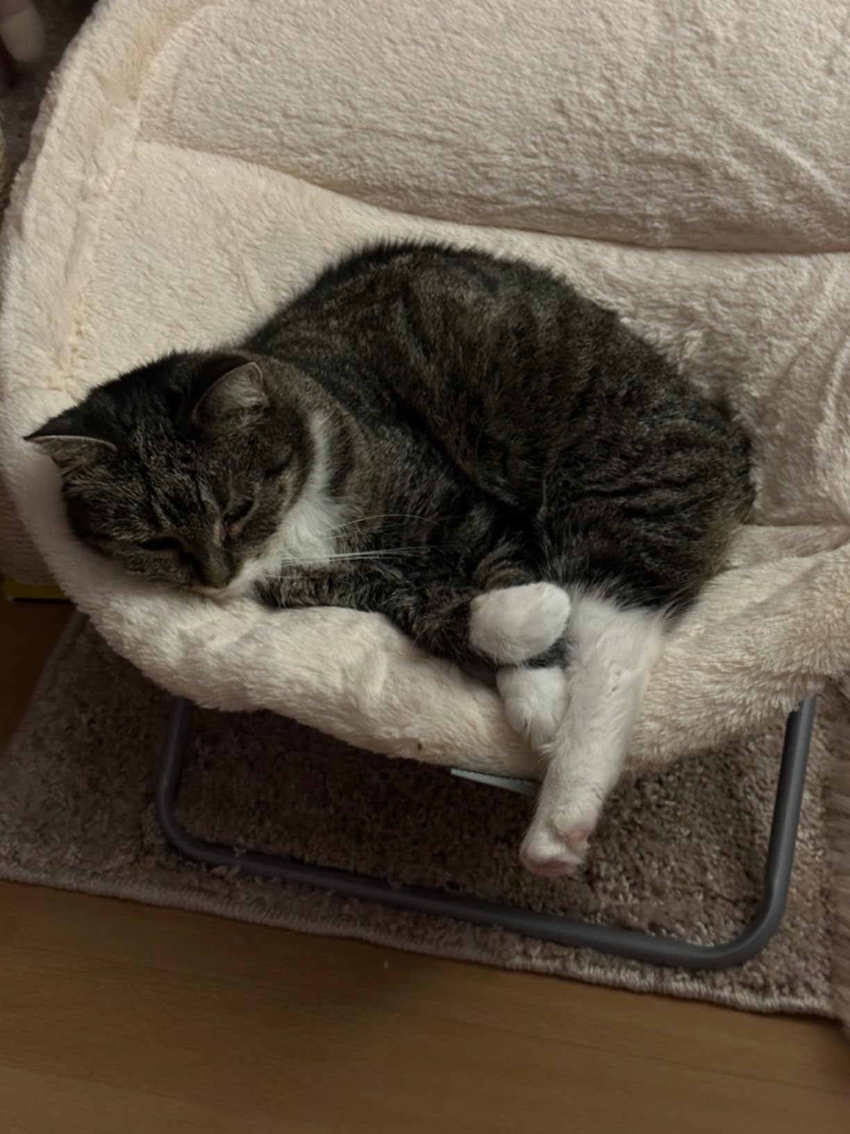 Nichts für sehr schwere Kater