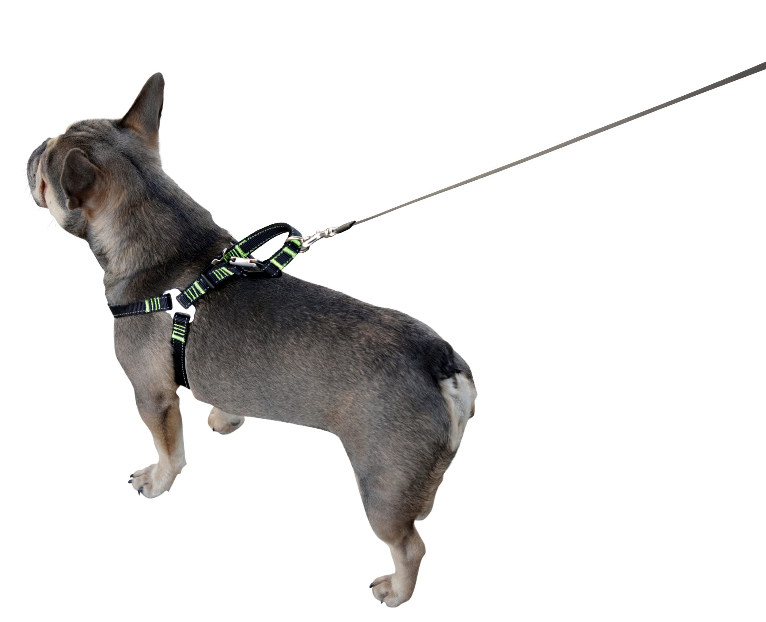 kerbl-pet-autosicherheitsgeschirr-schwarz-l-65-85-cm-25-mm image 3