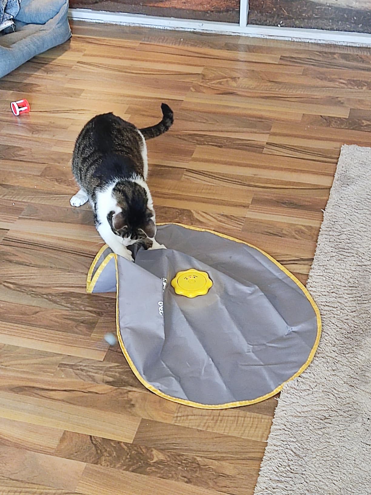 Idee top, Haltbarkeit flop