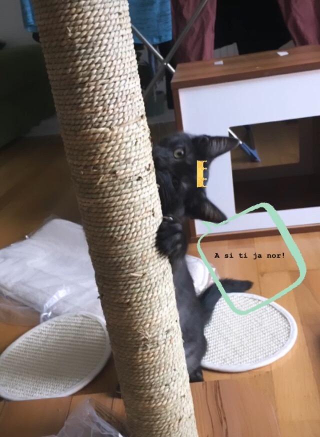 Stabil wie ein Schrank
