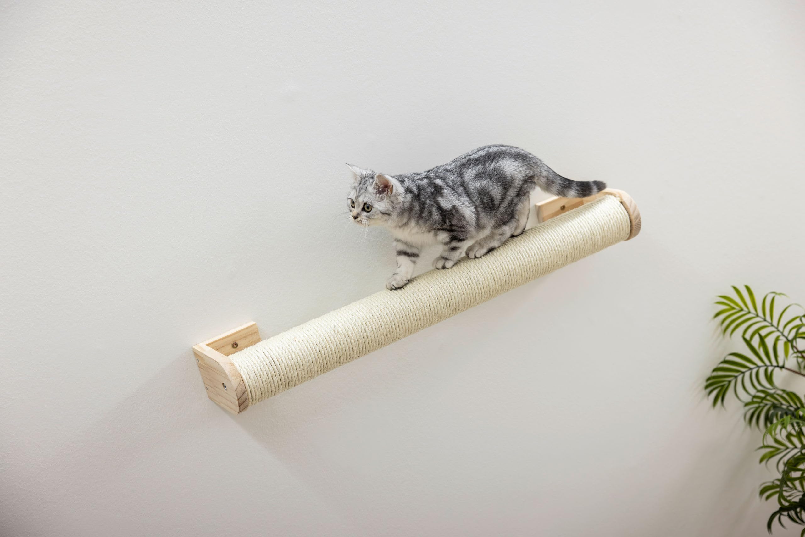 kerbl-pet-kratzstamm-zur-wandmontage-77-x-9-x-15-cm-stamm-8-5-cm-holz-und-sisal- image 2