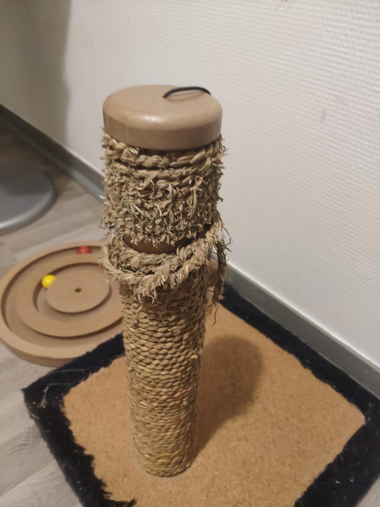 Nett für kleine Katzen