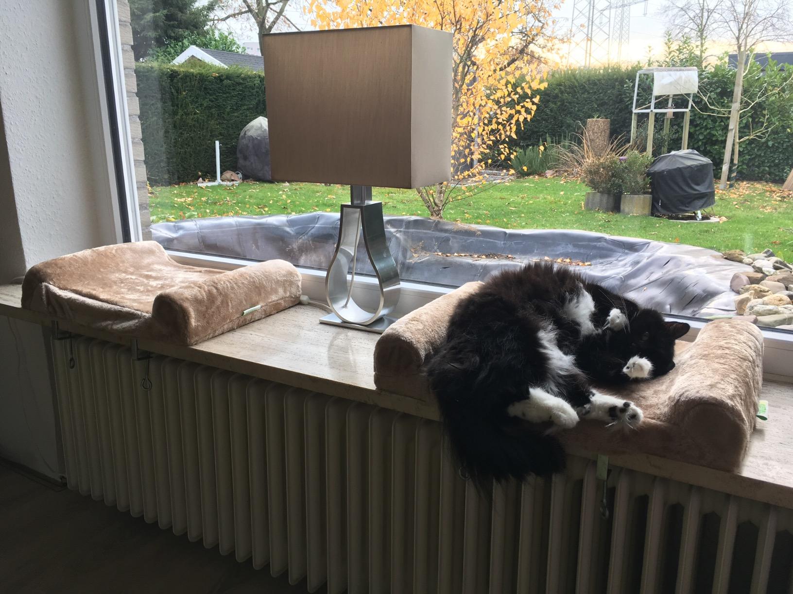 Bester Aussichtspunkt