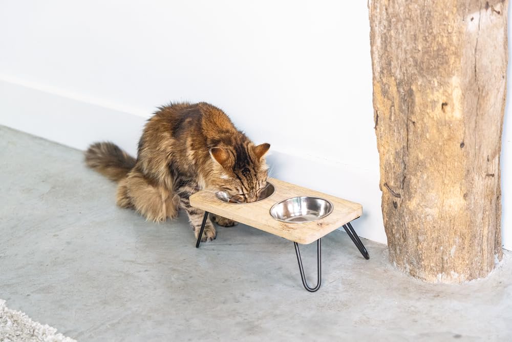 karlie-designed-by-lotte-linga-dinerset-katze-holz-metall-inkl-2-n-pfe image 2