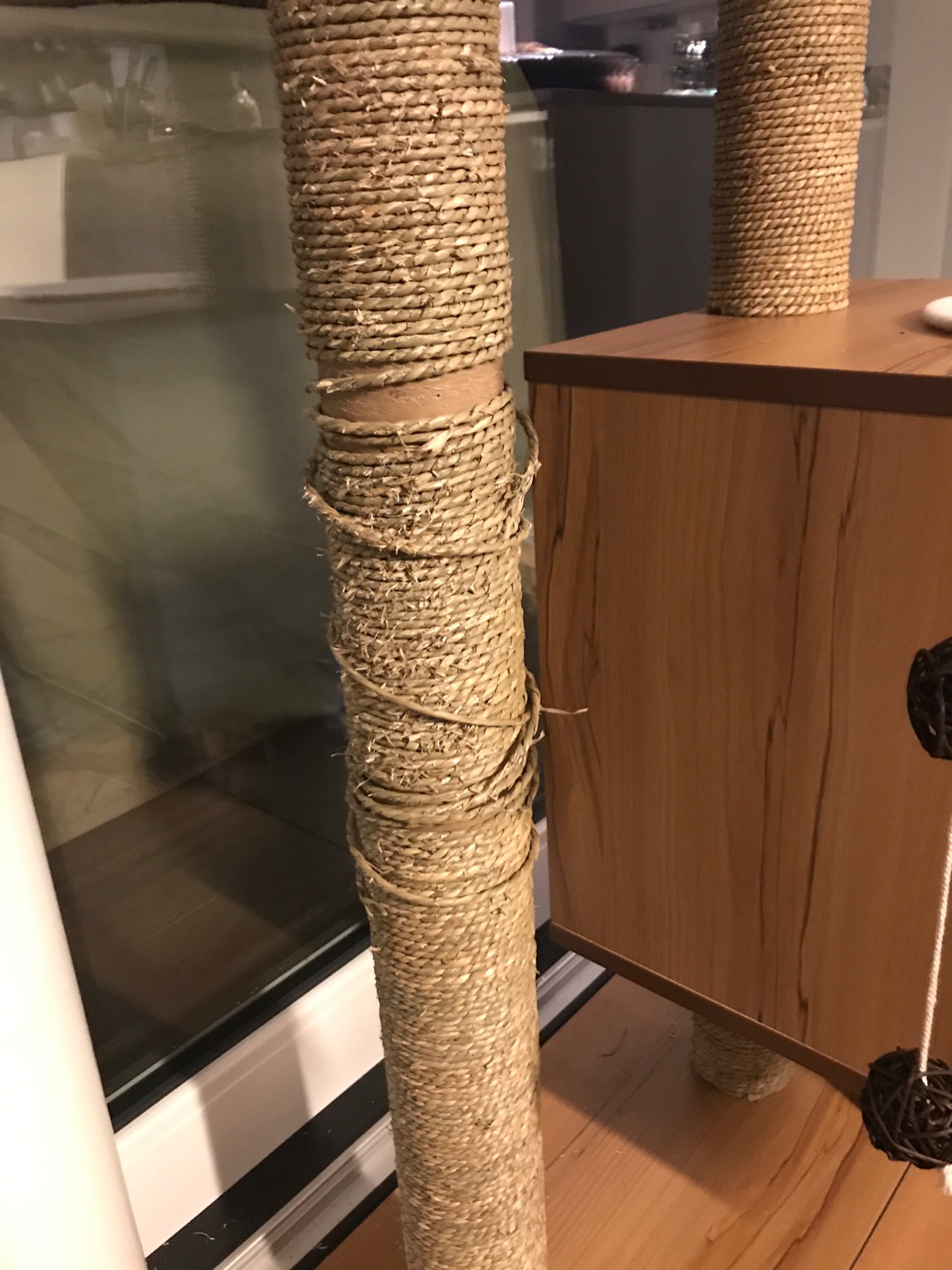 Nichts für große Katzen