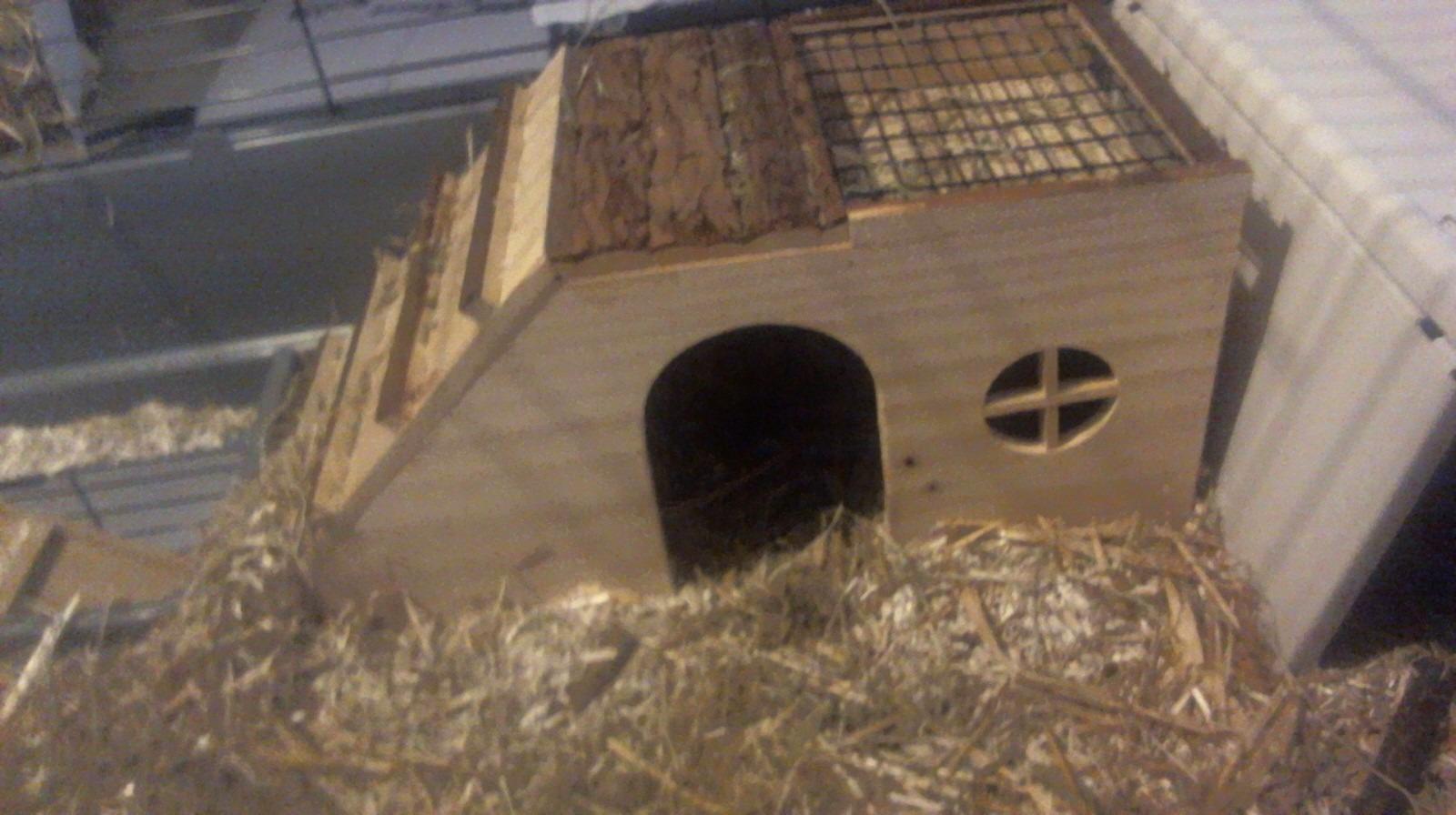 Lieblingsplatz unserer Meerschweinchen