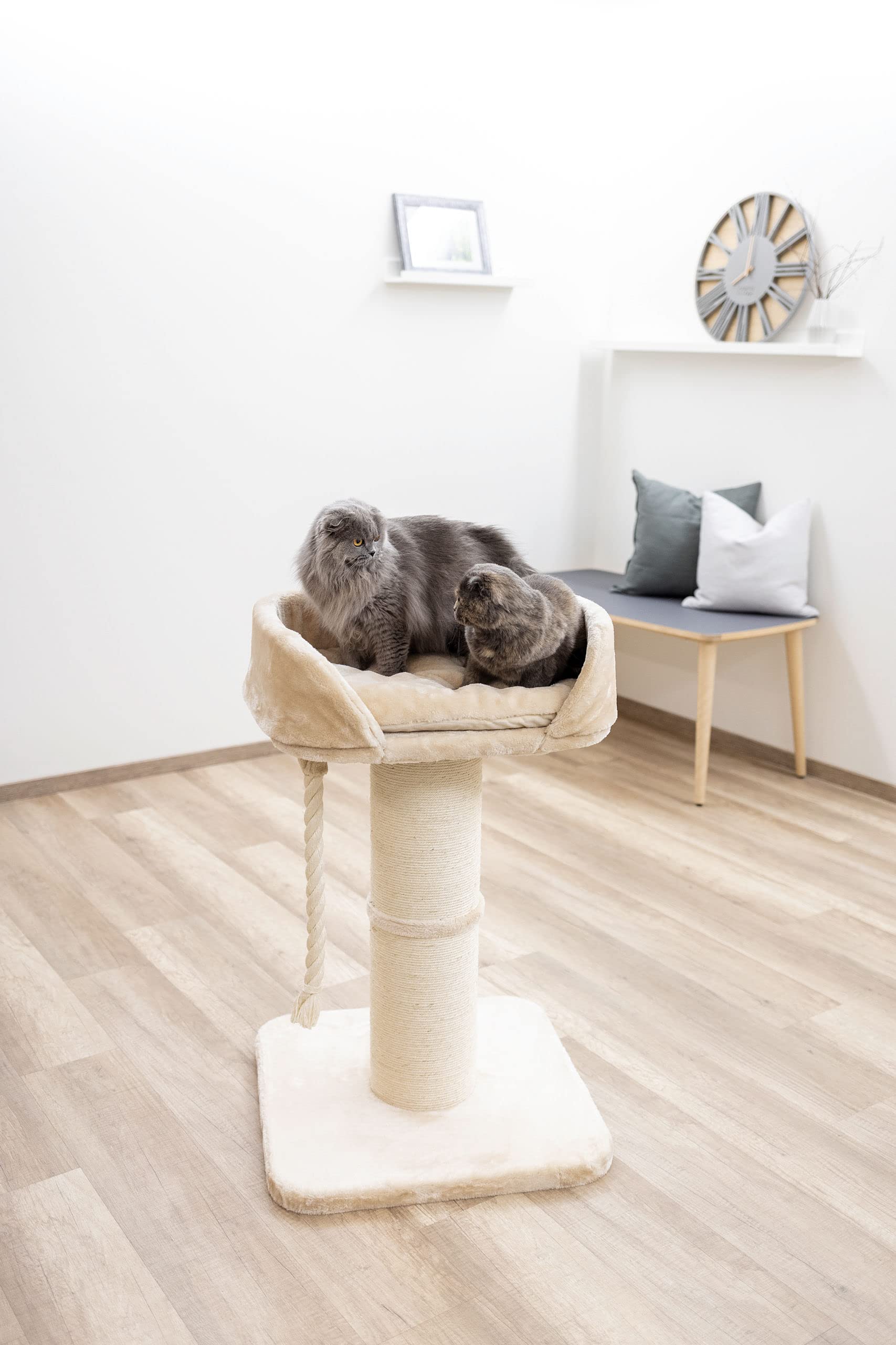 kerbl-pet-kratzbaum-toni-xl-beige-58-x-58-x-93-cm-f-r-maine-coon image 4