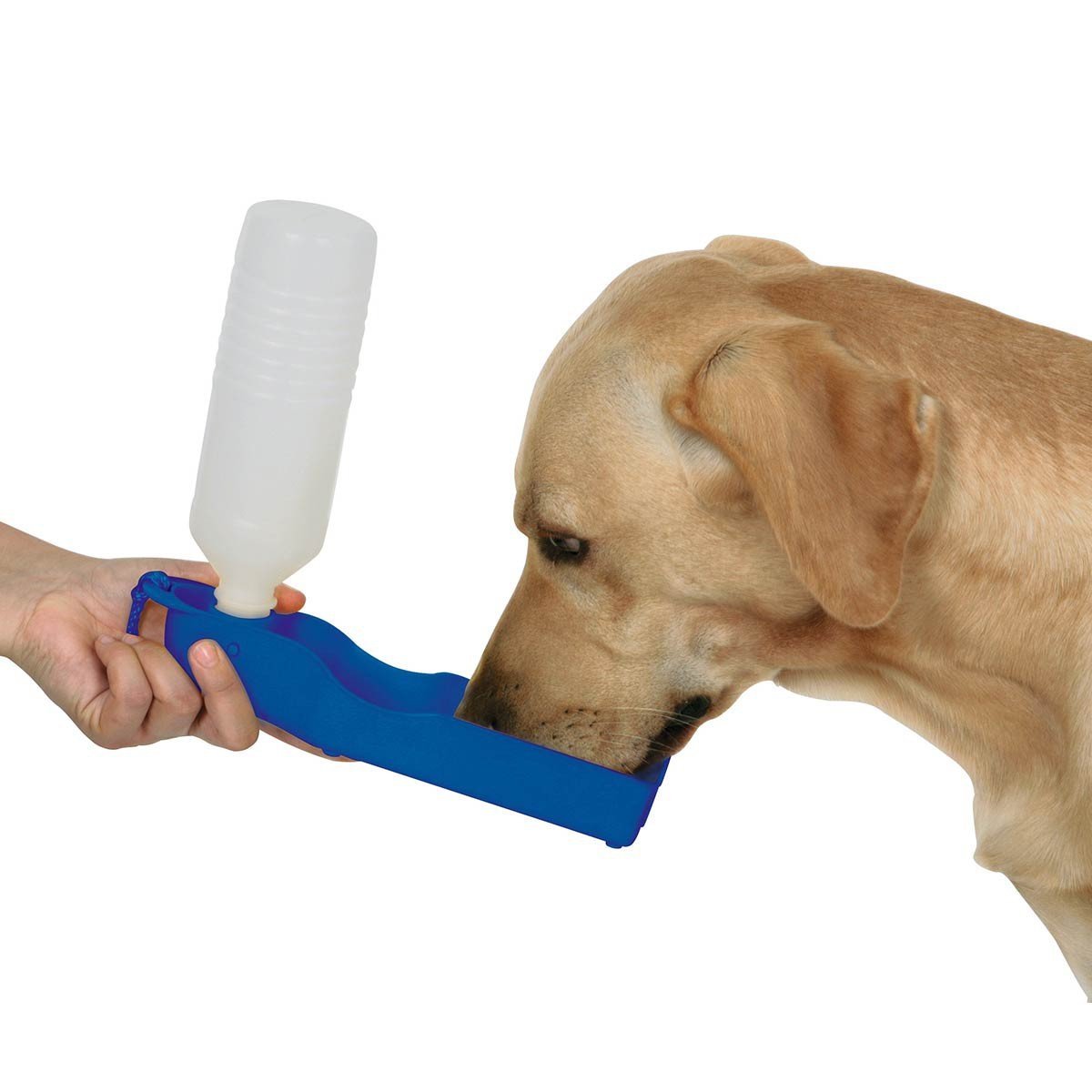 kerbl-pet-reisetrinkflasche-500-ml-f-r-hunde image 2
