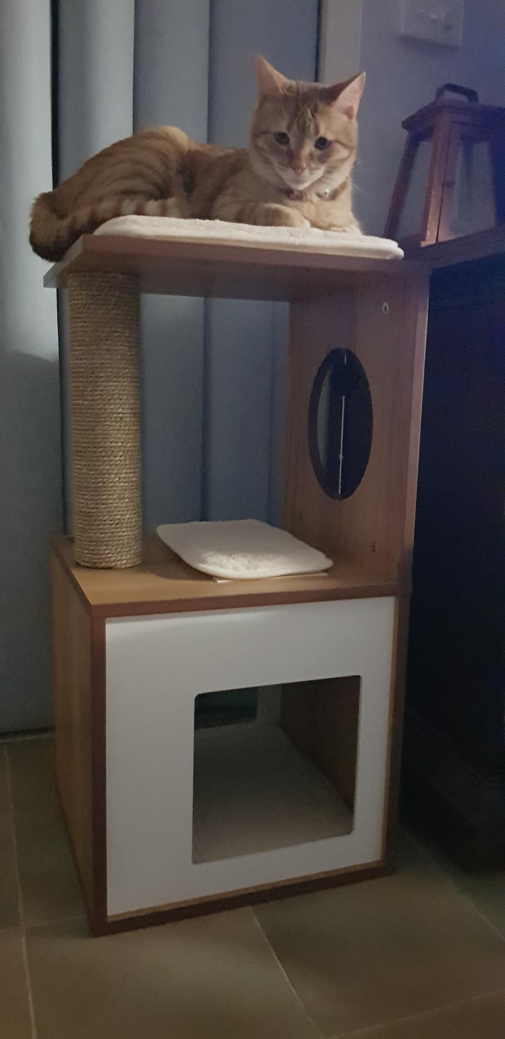 Top Qualität