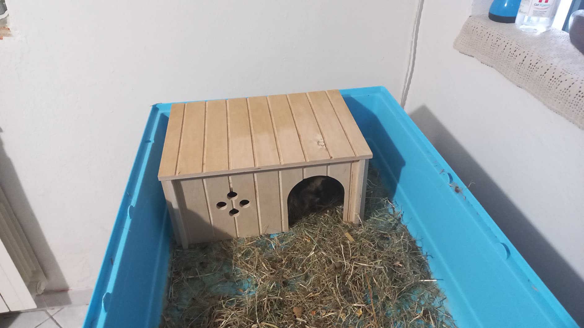 Unsere Hamster lieben es