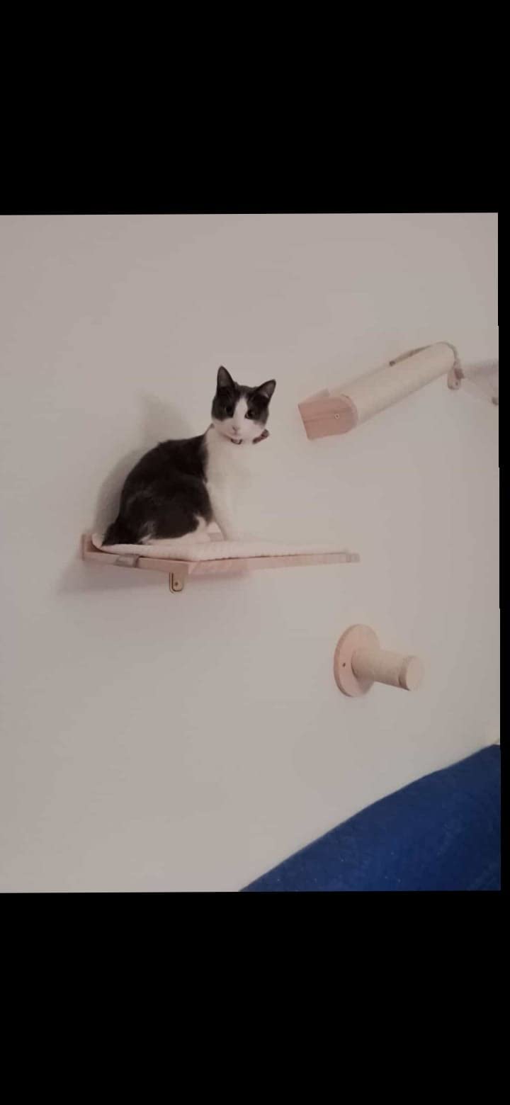 Kratzen und chillen