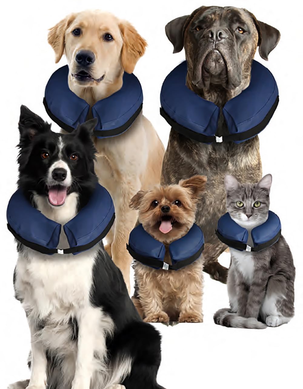 karlie-aufblasbarer-hundekragen-xs-f-r-katzen-und-kleine-hunde image 7