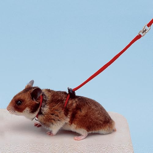 ferplast-lesa-hamster-geschirr-aus-nylon-110-cm image 4