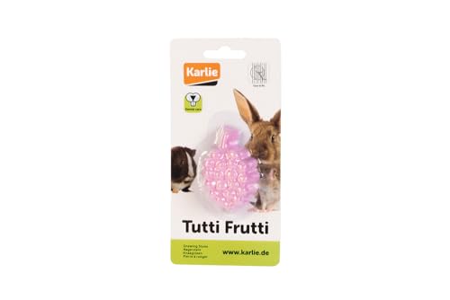 karlie-nagerstein-tutti-frutti-himbeere-30-g-4x4x2-cm image 5