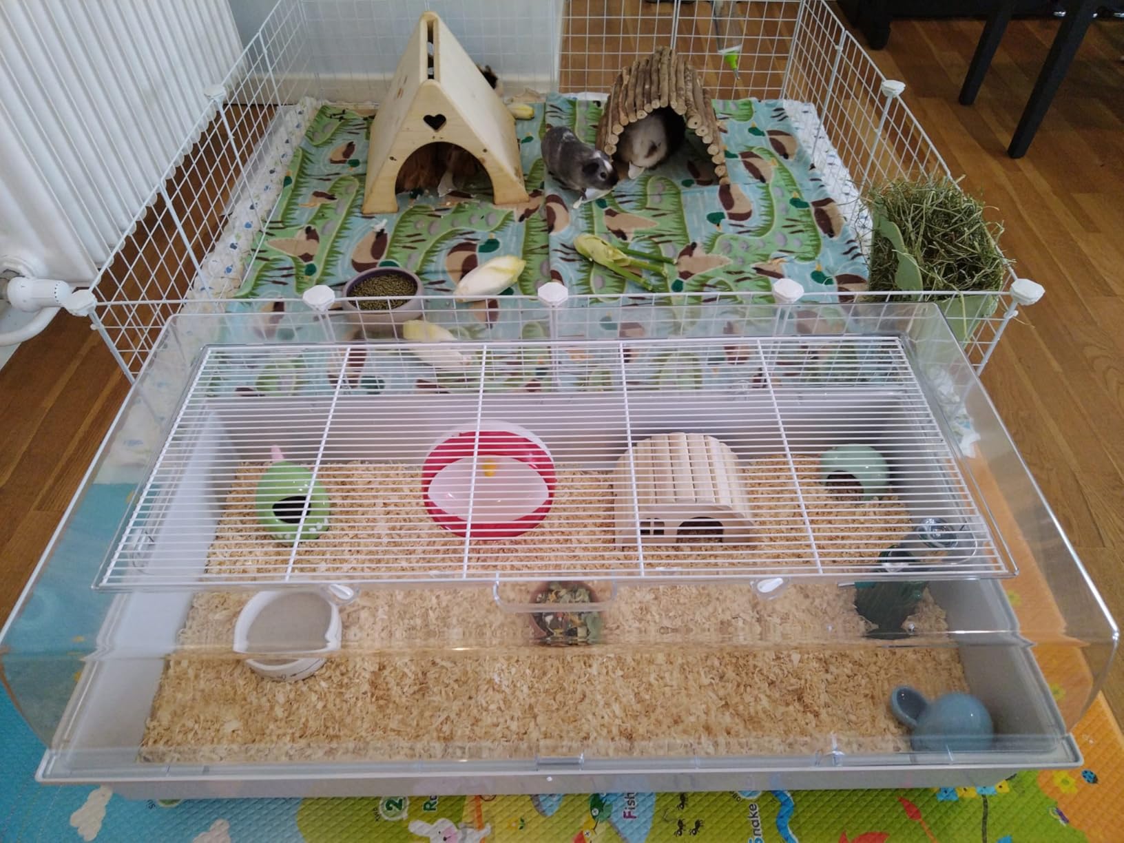Hamster glücklich, Mama glücklich