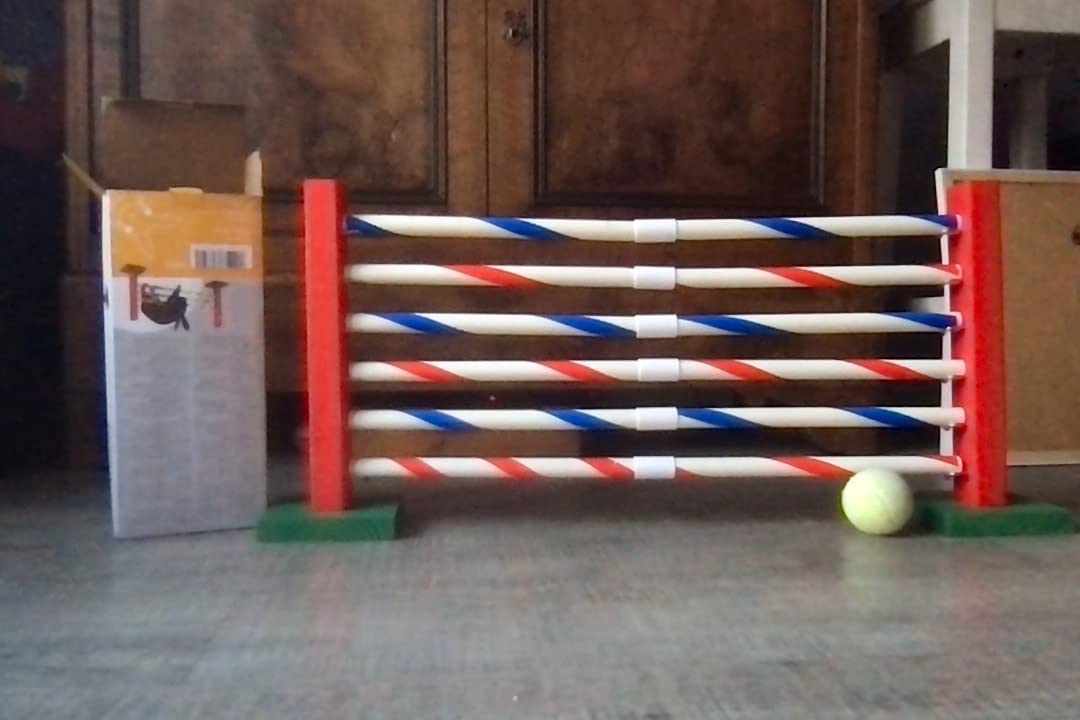Kaufempfehlung für Kaninhop