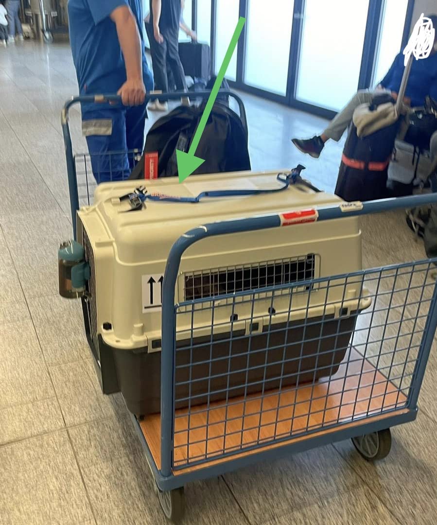 Rollen klappern