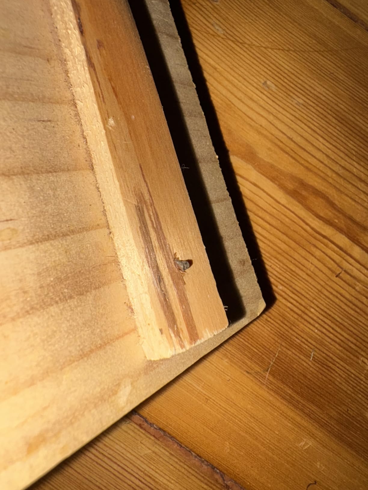 Lieblingsversteck unserer Meerschweinchen