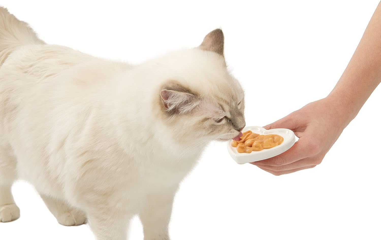 catit-creamy-katzensnack-huhn-und-truthahn-4-x-10-g image 1