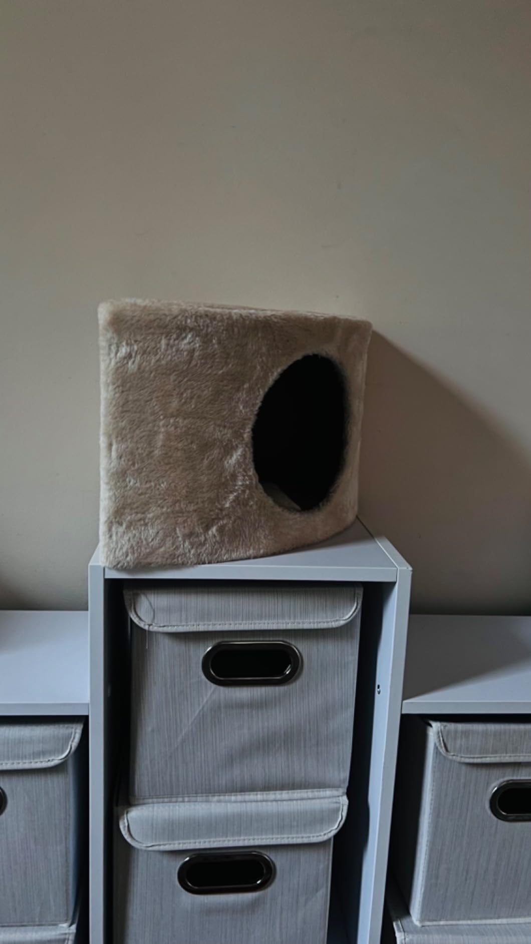 Unsere Katzen lieben ihn