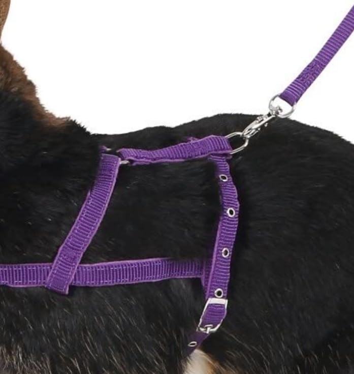 kerbl-pet-agility-schultergeschirr-mit-leine-2-m-gr-m-lila image 5