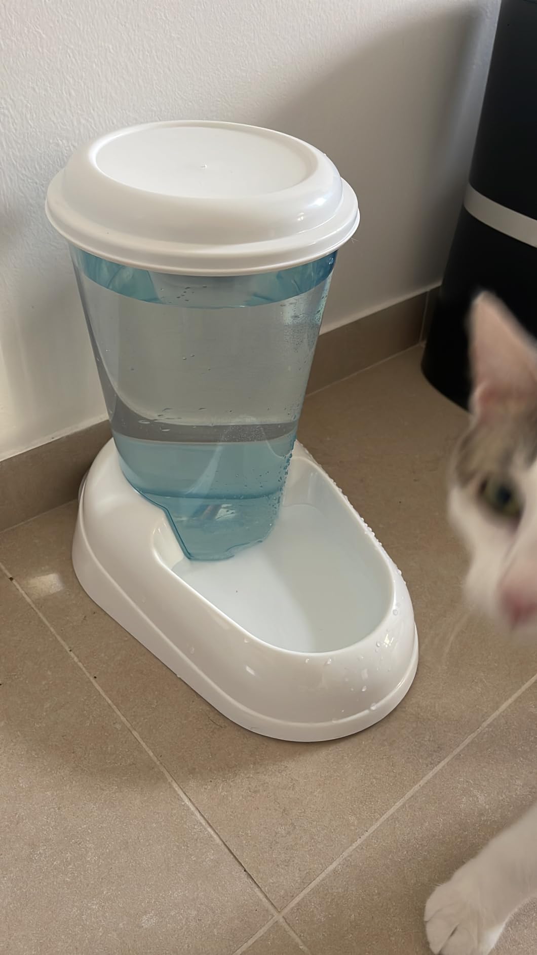 Endlich immer frisches Wasser