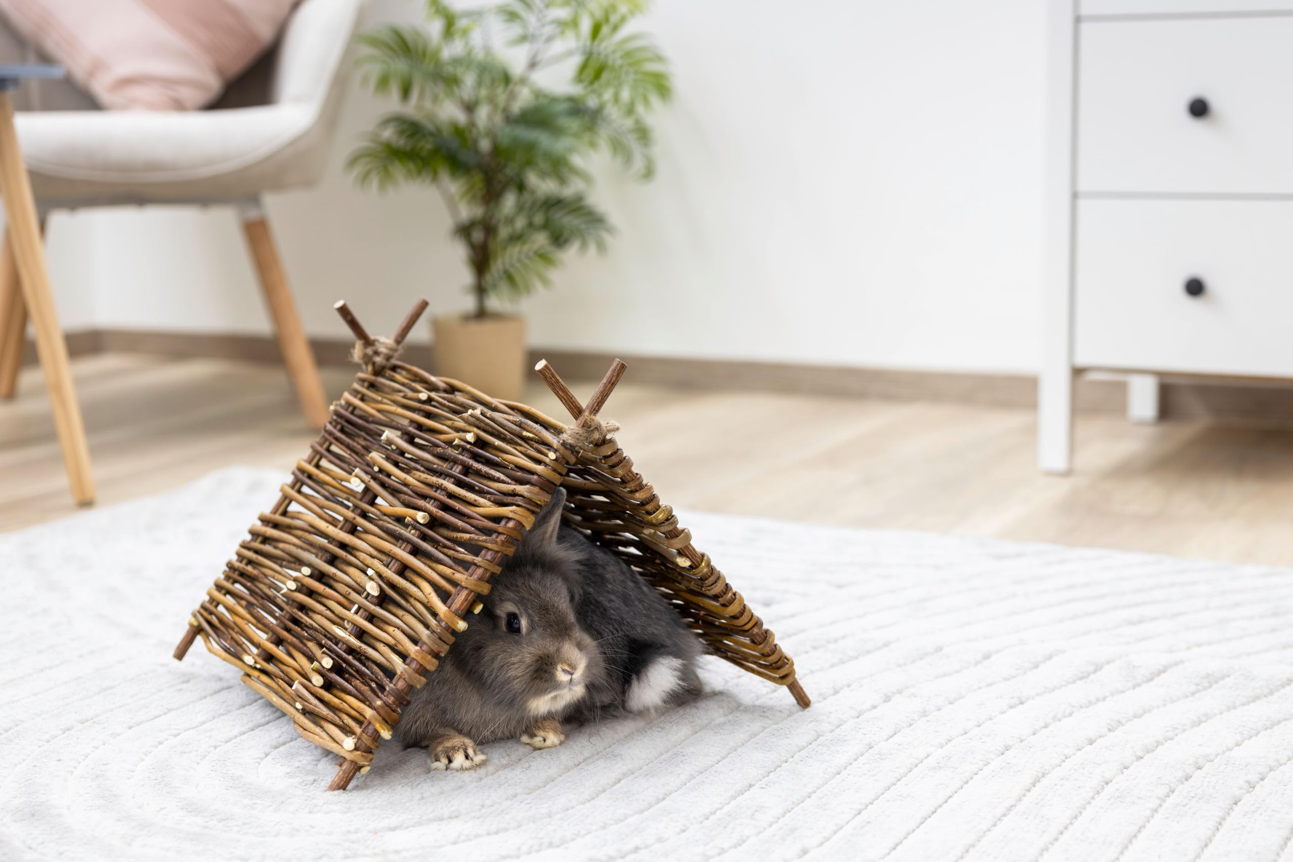 kerbl-pet-nature-tipi-zelt-37x27-cm-f-r-kaninchen-und-nagetiere image 3