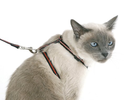 kerbl-pet-katzen-set-halsband-geschirr-und-leine-reflektierend-aus-nylon image 5