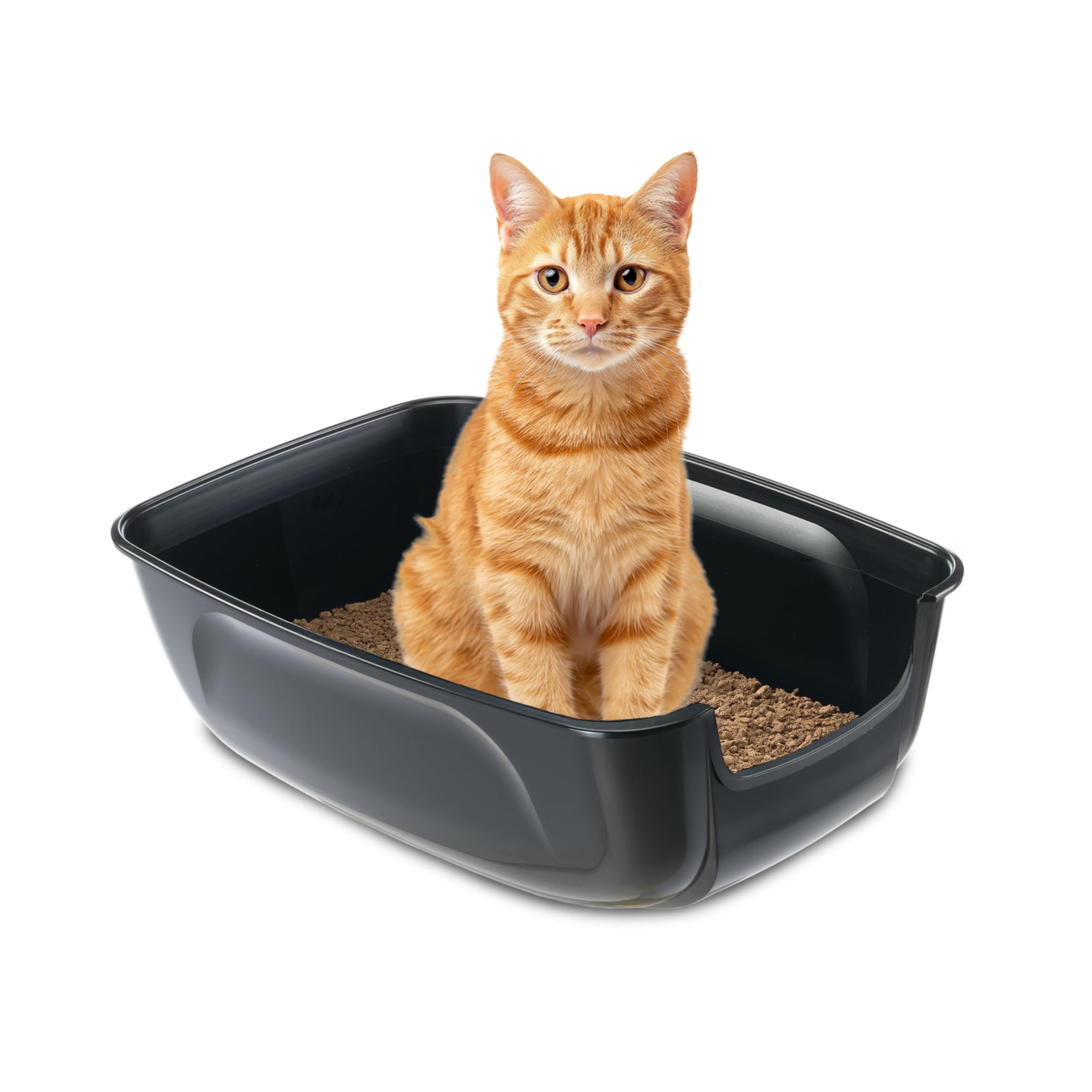 ferplast-nip-xxl-offene-katzentoilette-extra-large-l-67-x-b-49-x-h-24-cm-schwarz image 1