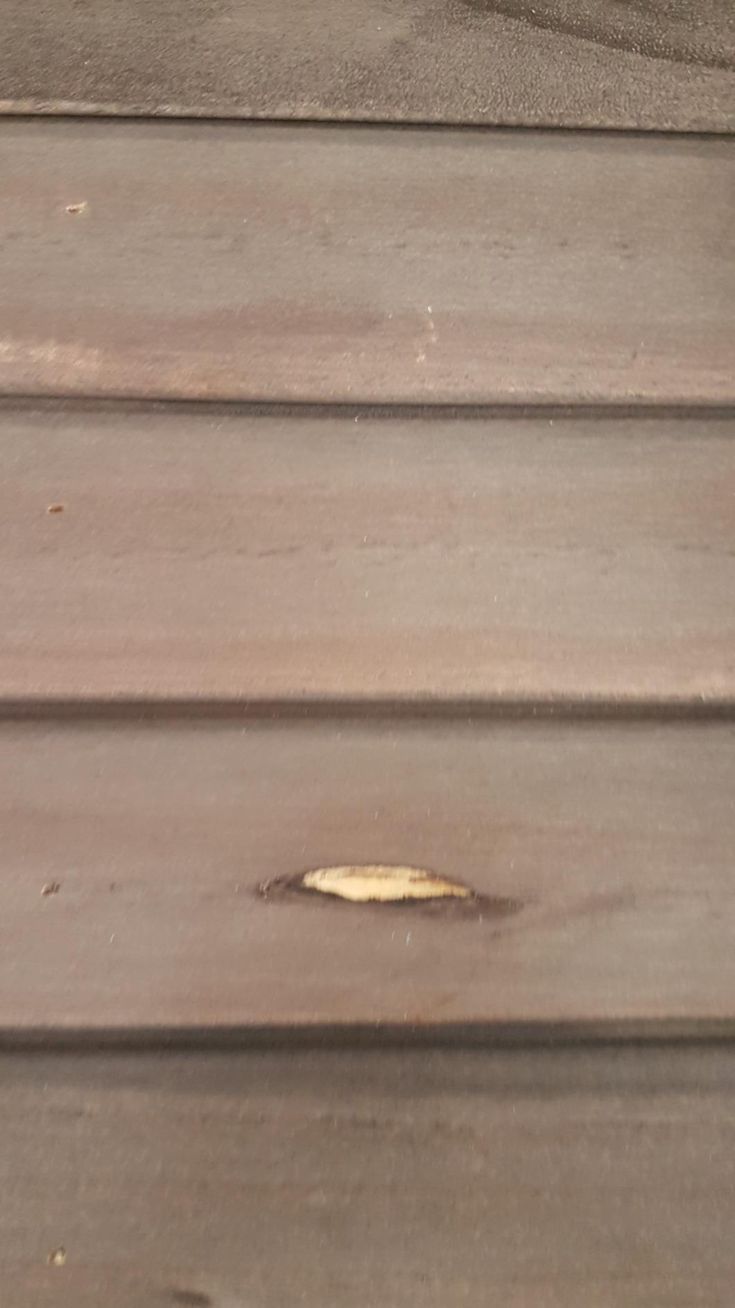 Stabil, wetterfest, katzengeprüft