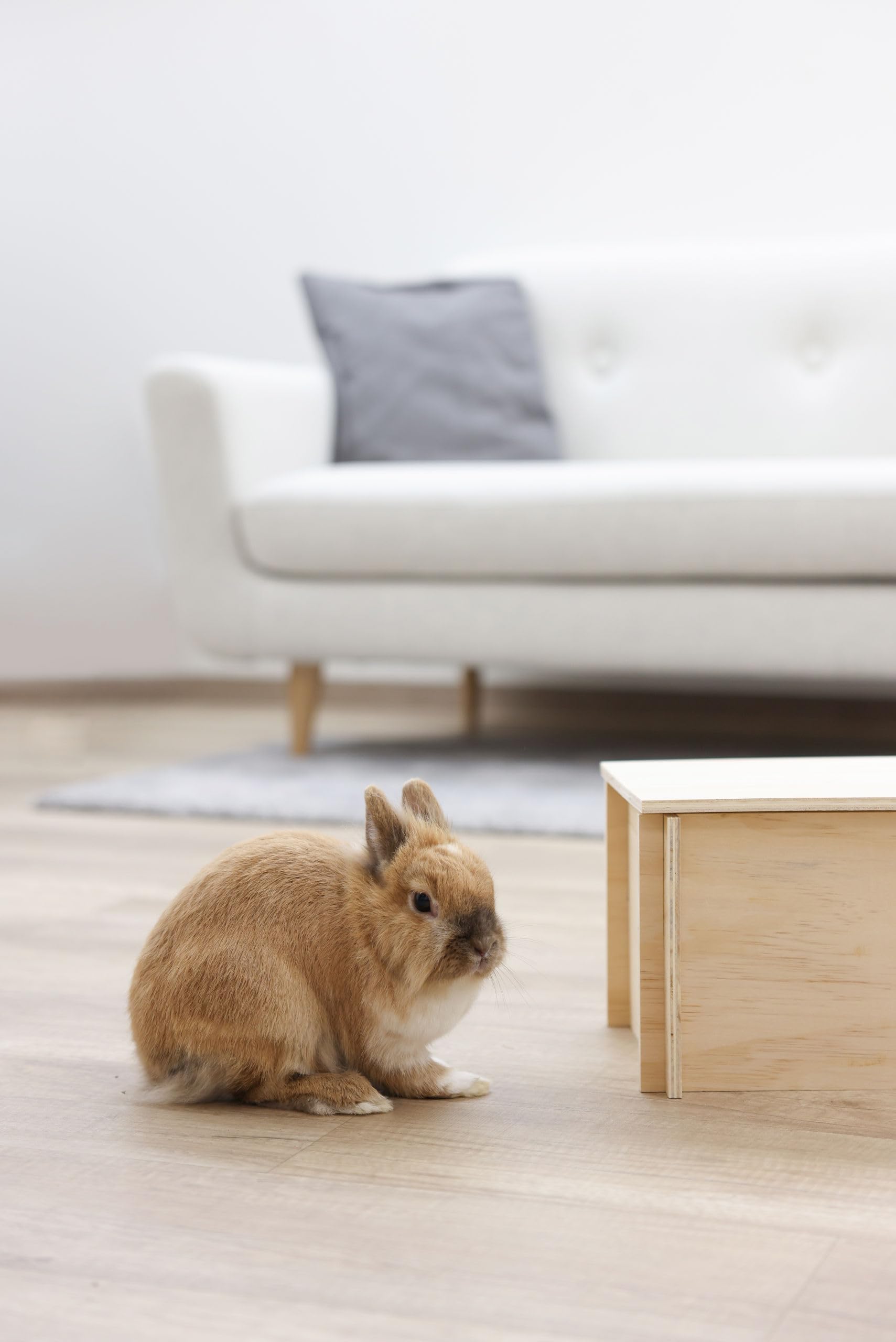 kerbl-pet-nagerhaus-natural-38x23x19cm-holz image 4