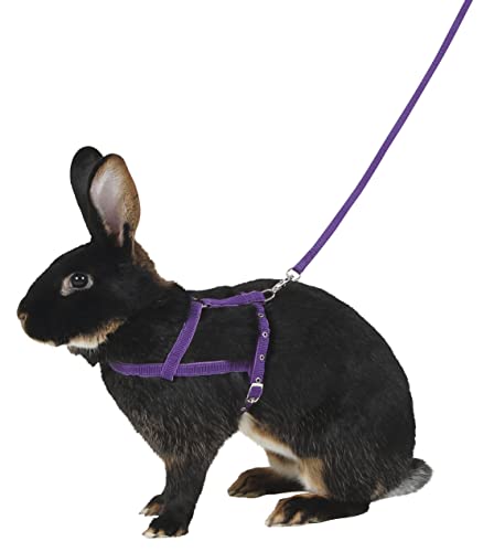 kerbl-pet-agility-schultergeschirr-mit-leine-2-m-gr-m-lila image 4
