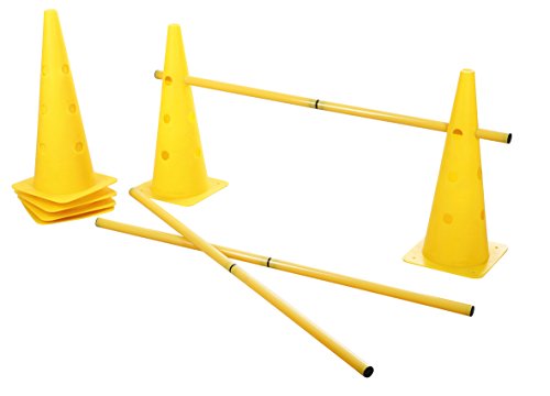 kerbl-pet-agility-pylonen-h-rden-set-3-h-rden-mit-6-pylonen-und-stangen image 7