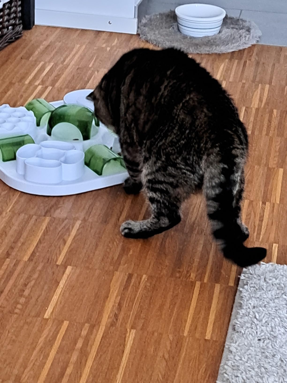 Stabil und leicht zu waschen
