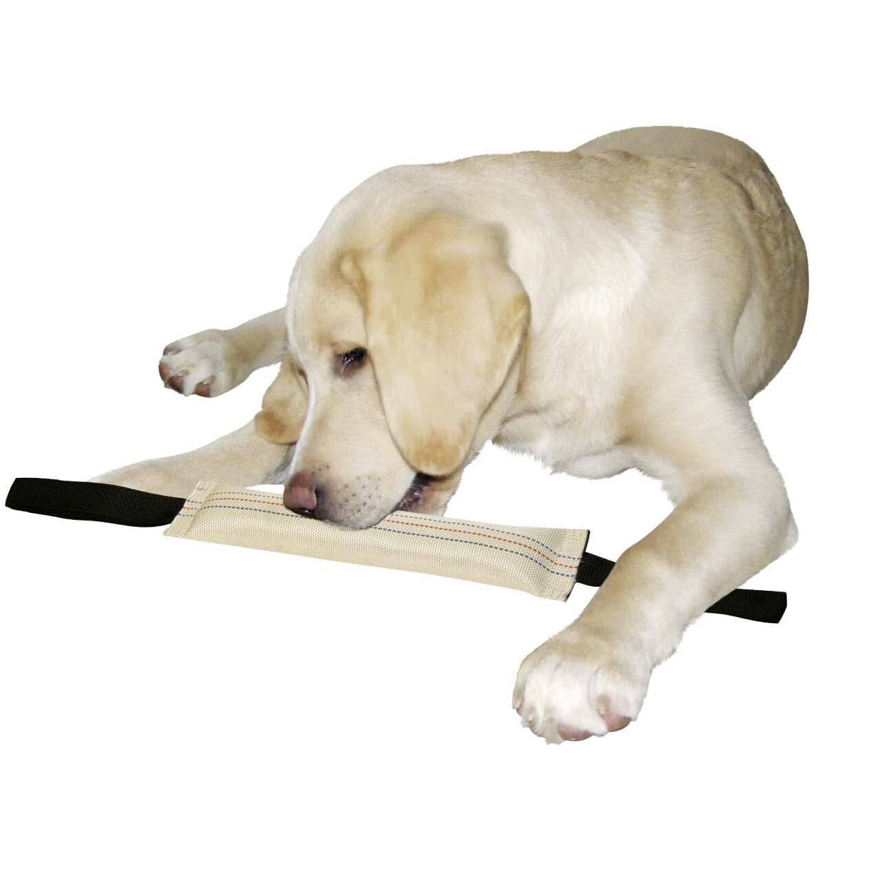 kerbl-pet-trainingsdummy-schwimmf-hig-31-cm-aus-feuerwehrschlauch image 2