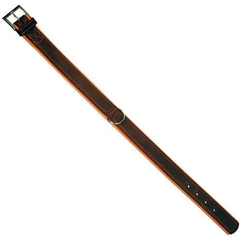kerbl-pet-vegas-hq-leder-hundehalsband-schwarz-35-mm-50-58-cm image 4