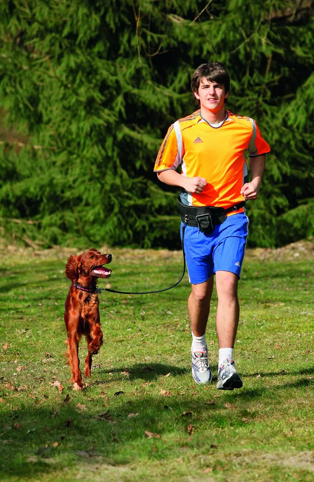 karlie-doggy-jogger-h-ftgurt-l-65-120-cm-25-mm-schwarz image 1