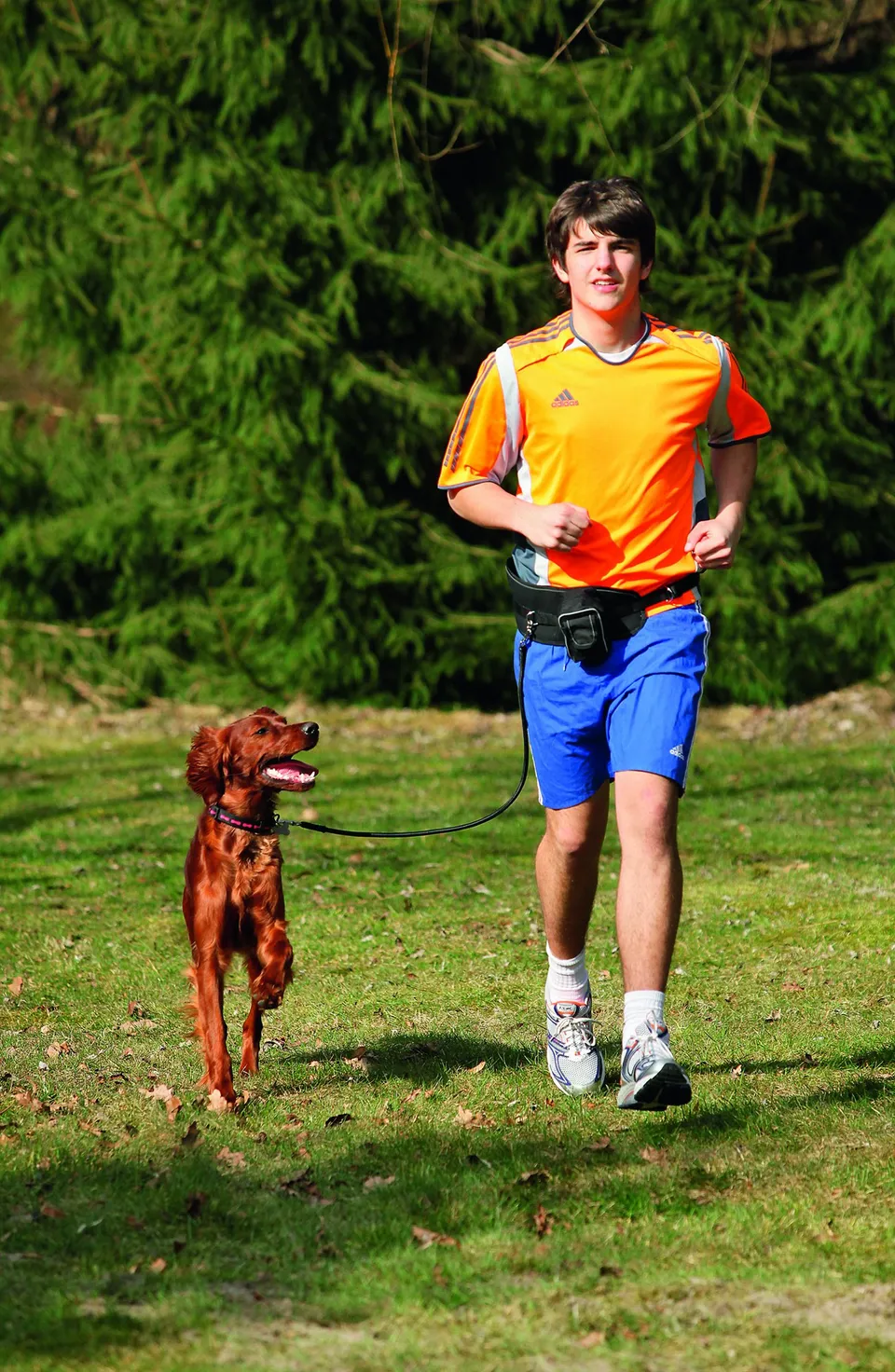 karlie-doggy-jogger-h-ftgurt-l-65-120-cm-25-mm-schwarz image 1