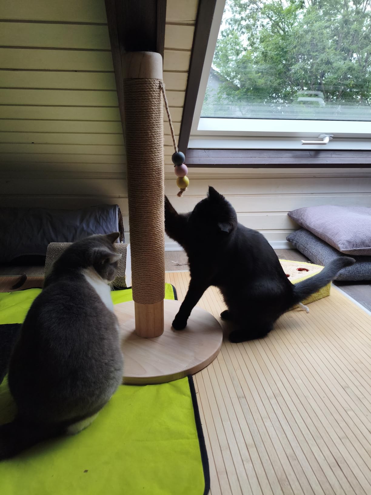 Perfekt für kleine Wohnung