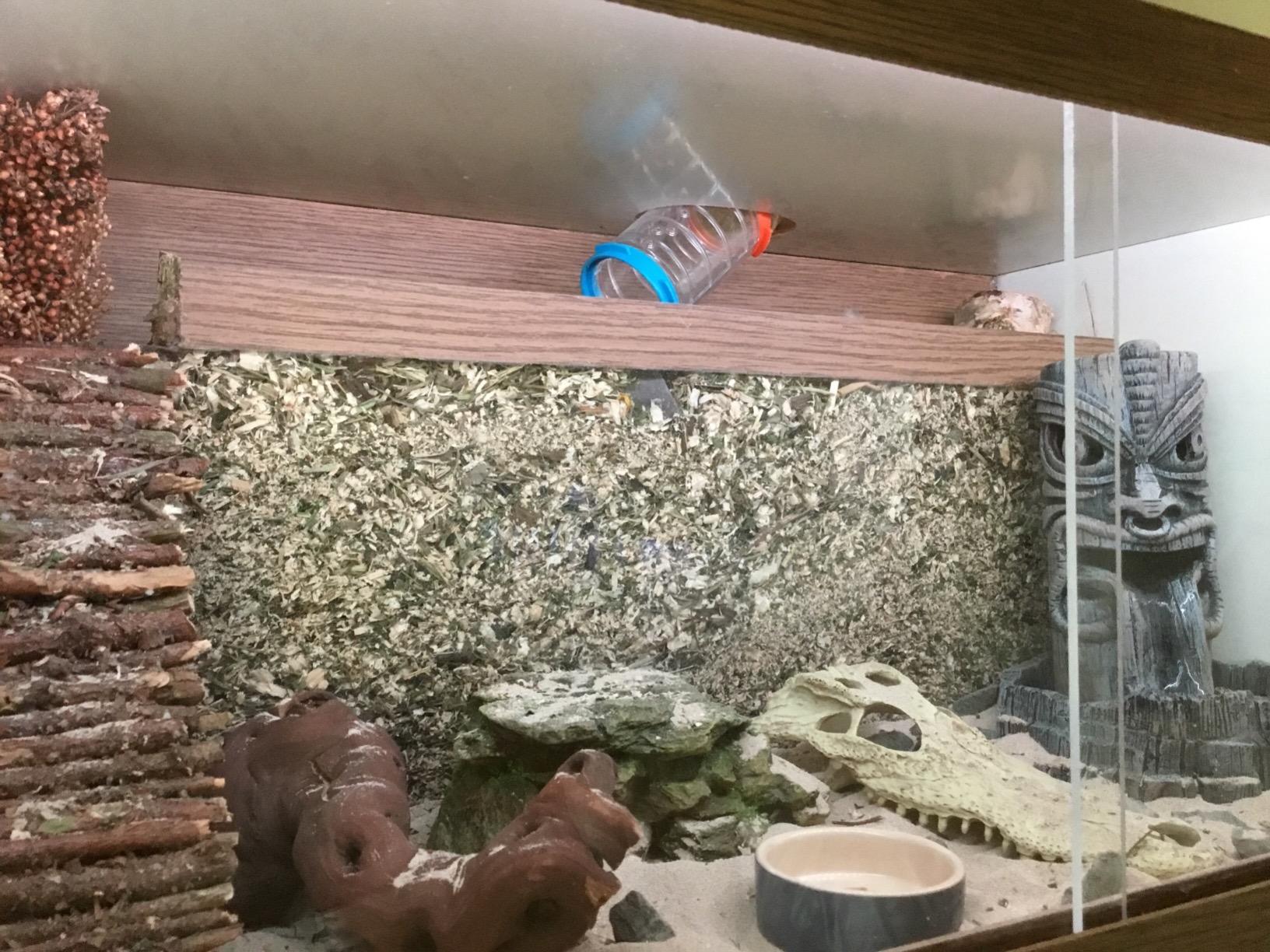 Mein Hamster liebt es