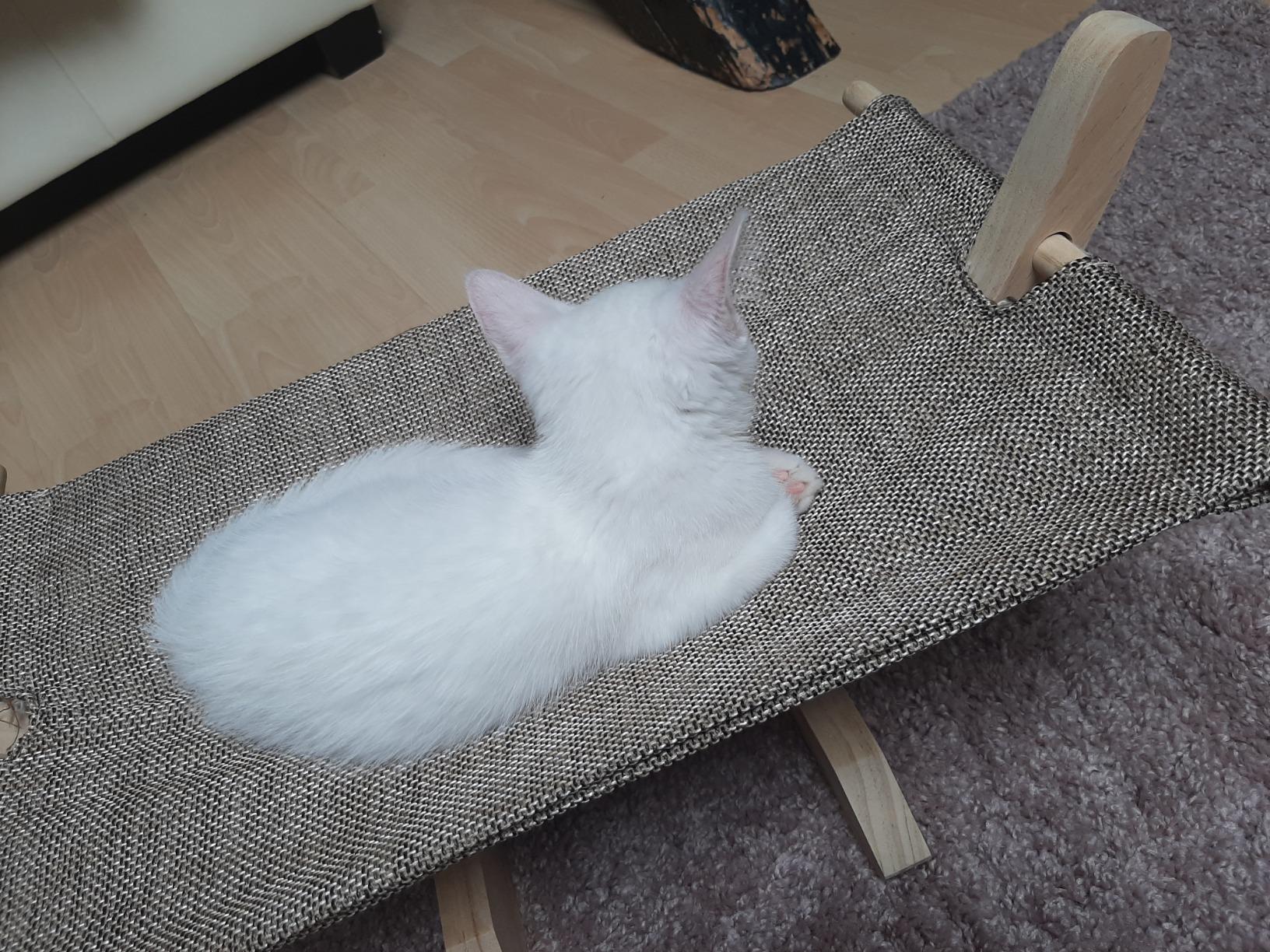 Perfekt für kleine Wohnung