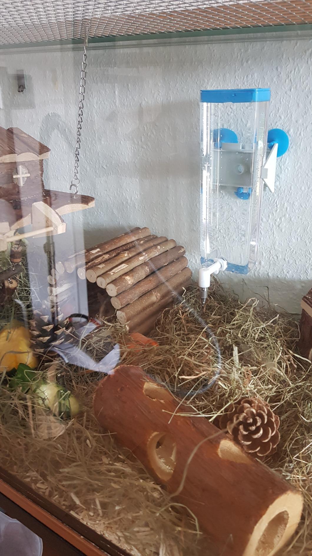 Gute Flasche für den Alltag