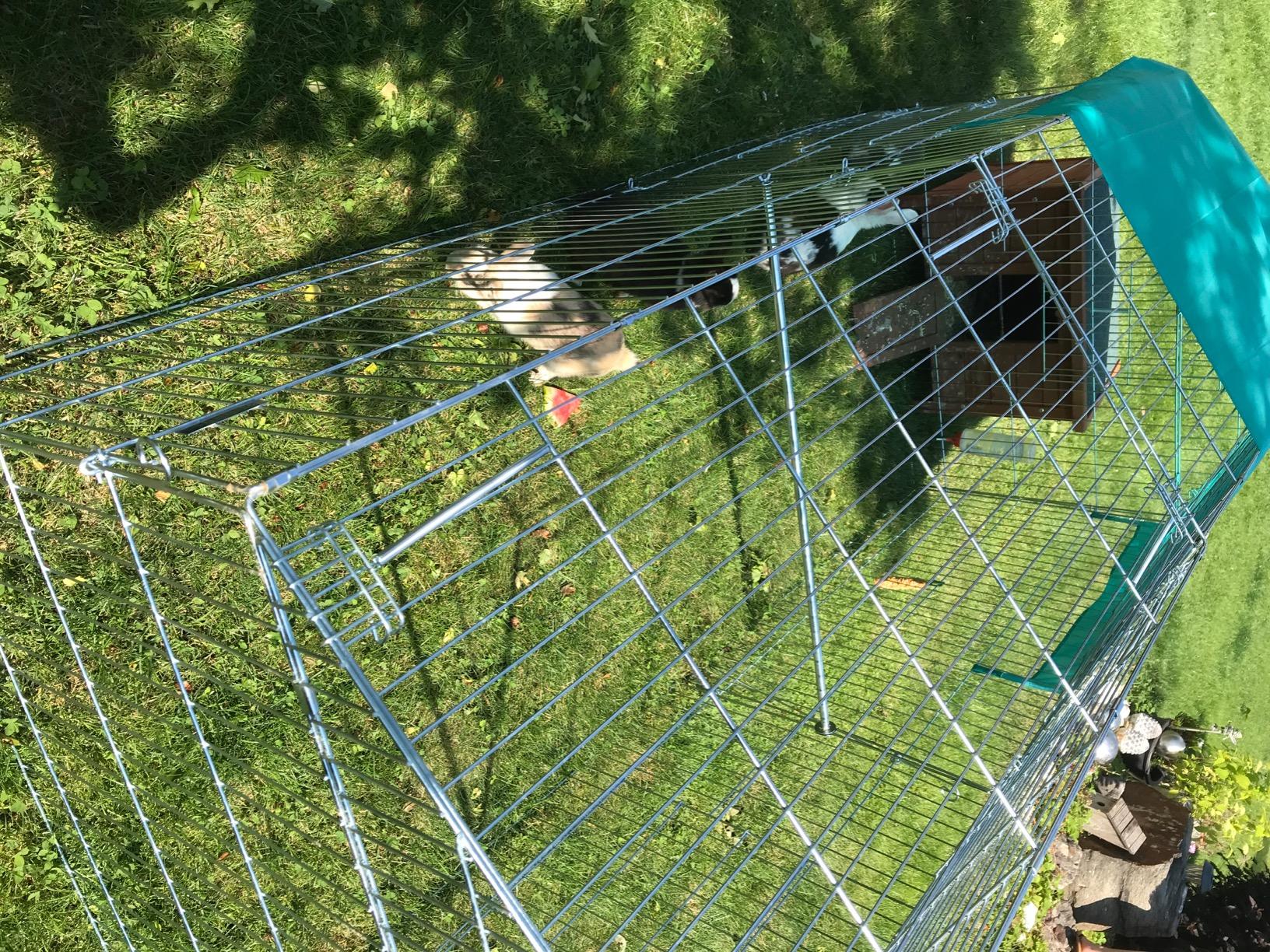 Alltag im Kleingarten