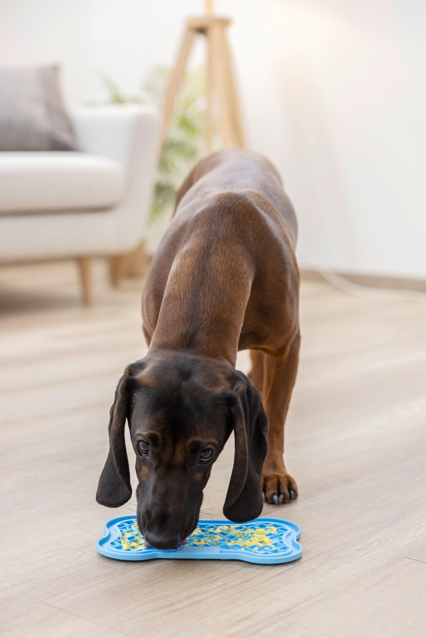 kerbl-pet-schleckmatte-blau-22-x-13-cm-silikonmatte-f-r-hund-und-katze image 4