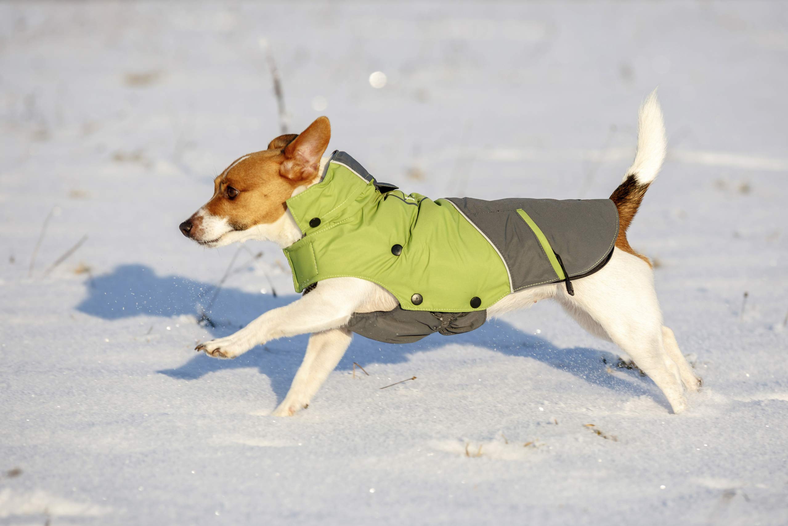 kerbl-pet-outdoor-hundemantel-vancouver-gr-n-grau-50-cm image 3