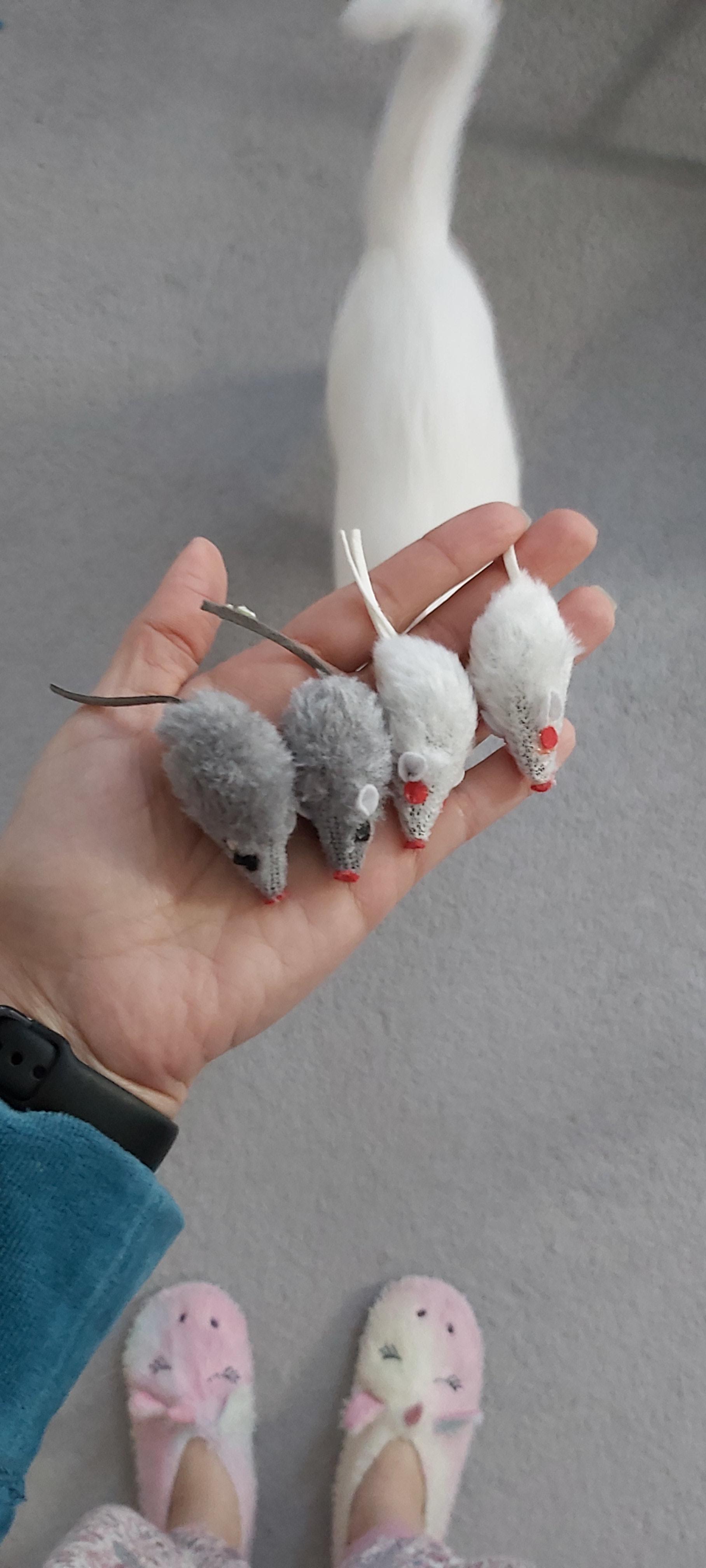 Stundenlange Jagd